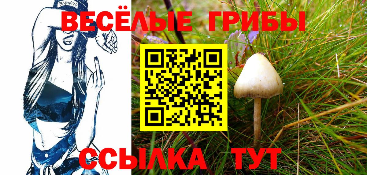 Галлюциногенные грибы MAGIC MUSHROOMS Наро-Фоминск